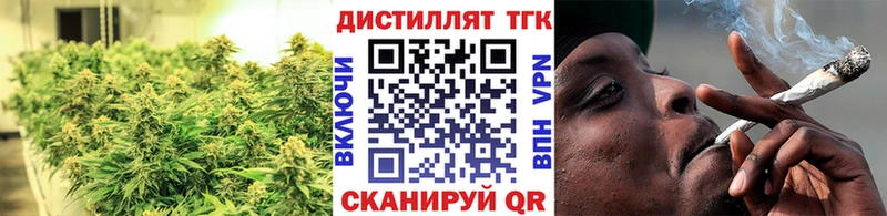 Купить где  Аркадак  Дистиллят ТГК гашишное масло 